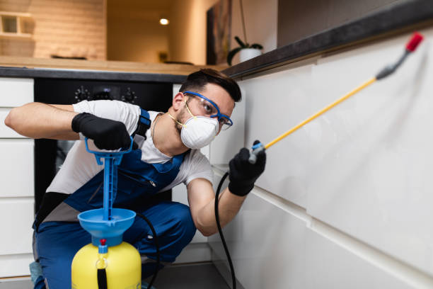 Best Pest Removal Services  in Brookhaven, WV