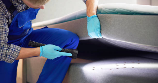 Best Local Pest Control Services  in Brookhaven, WV