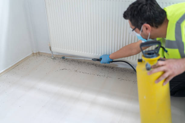 Professional Pest Control in Brookhaven, WV