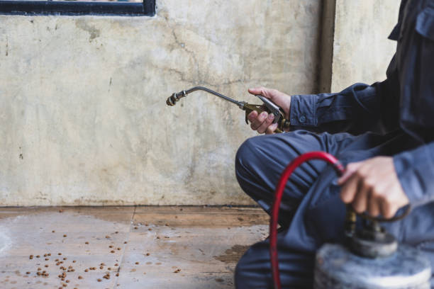 Best Pest Inspection Near Me  in Brookhaven, WV